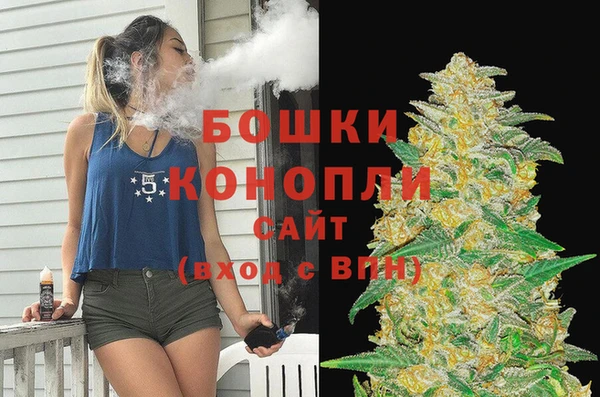 молекула духа Дмитров