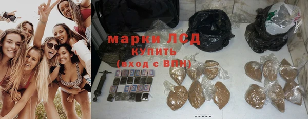 молекула духа Дмитров