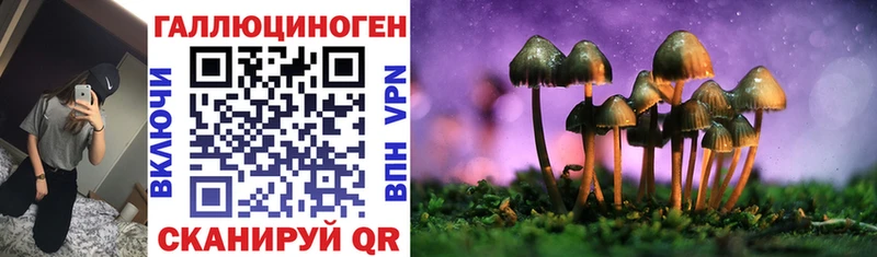 MEGA ссылки  Пестово  Галлюциногенные грибы MAGIC MUSHROOMS 
